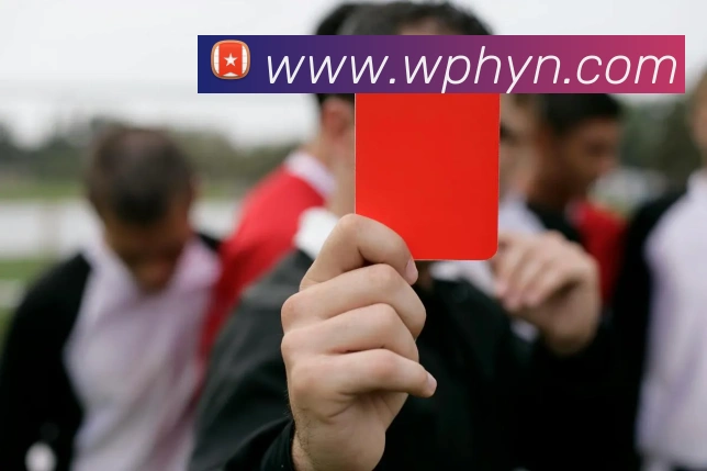 爱游戏ayx官方全站服务体系
